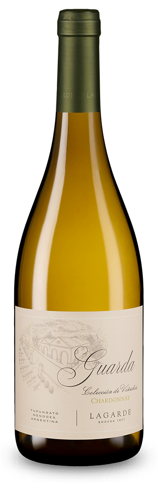 Chardonnay Guarda Colección de Viñedos Valle de Uco 2025