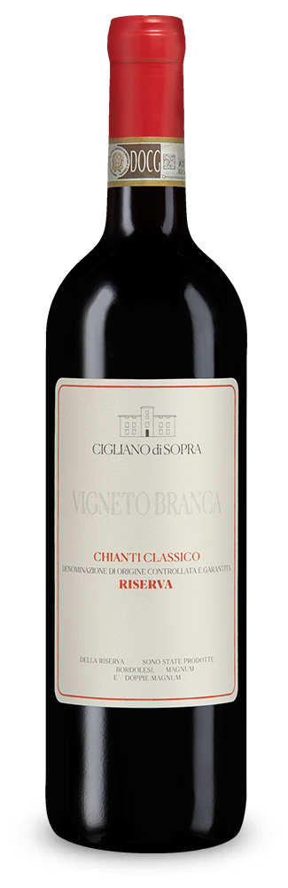 Chianti Classico Riserva Vigneto Branca 2023