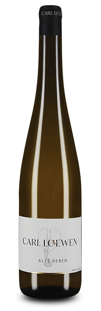 Alte Reben Riesling trocken 2025