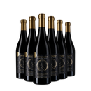 6x Primitivo Negroamaro Edizione Nera 2025