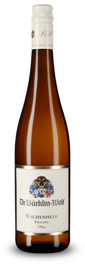 Wachenheim Village Riesling VDP.Ortswein trocken 2025