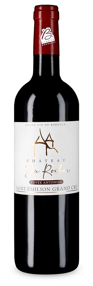 Saint-Émilion Grand Cru 2020