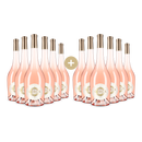 12x Rosé 2025