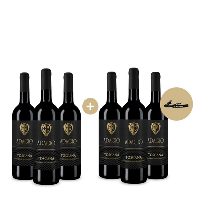 6x Rosso Toscana 2024 + Wine in Black hybrid Kellnermesser