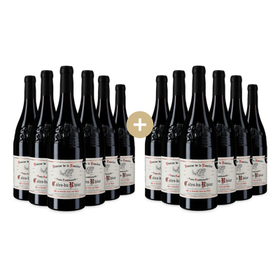 12x Côtes du Rhône 2024