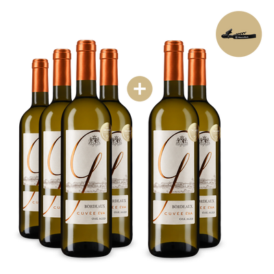 6x Bordeaux Blanc 2025 + Wine in Black hybrid Kellnermesser