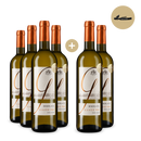 6x Bordeaux Blanc 2025 + Wine in Black hybrid Kellnermesser