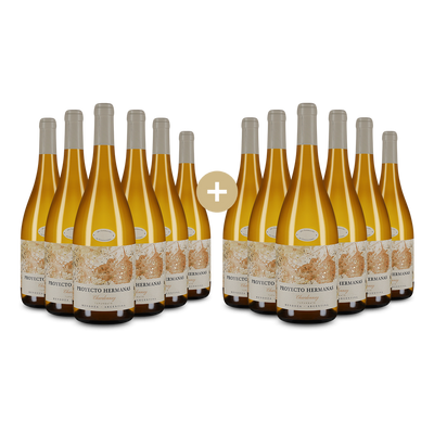 6+6 gratis: Chardonnay Proyecto Hermanas Gualtallary Valle de Uco 2025